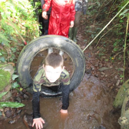 Stream Walk Challenge 2